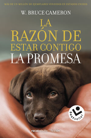 LA RAZON DE ESTAR CONTIGO. LA PR