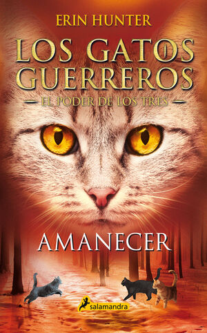 AMANECER (GATOS GUERREROS 3-6)