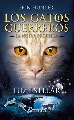 LUZ ESTELAR (GATOS GUERREROS-NUEVA PR 4)
